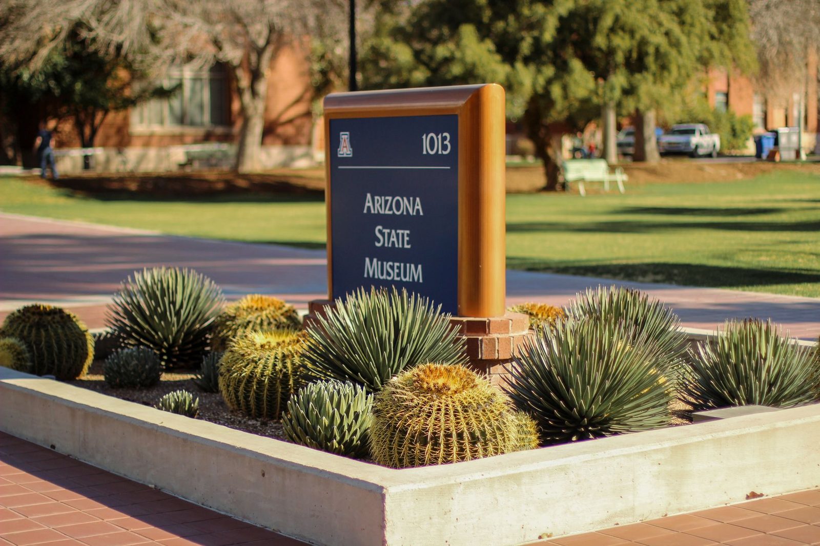 Arizona State Museum sign and barrel cacti on the University of Arizona campus in Tucson